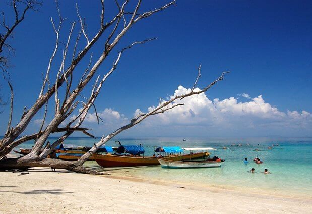 elephant-beach-havelock.jpg